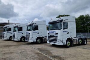 Eco-Friendly Bulk Tipping Services
